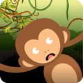 Monkey Fall